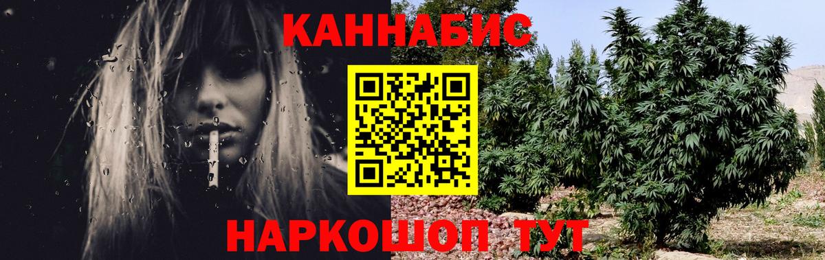 Шишки марихуана SATIVA & INDICA  Вход с VPN  Конопля план  Железногорск 